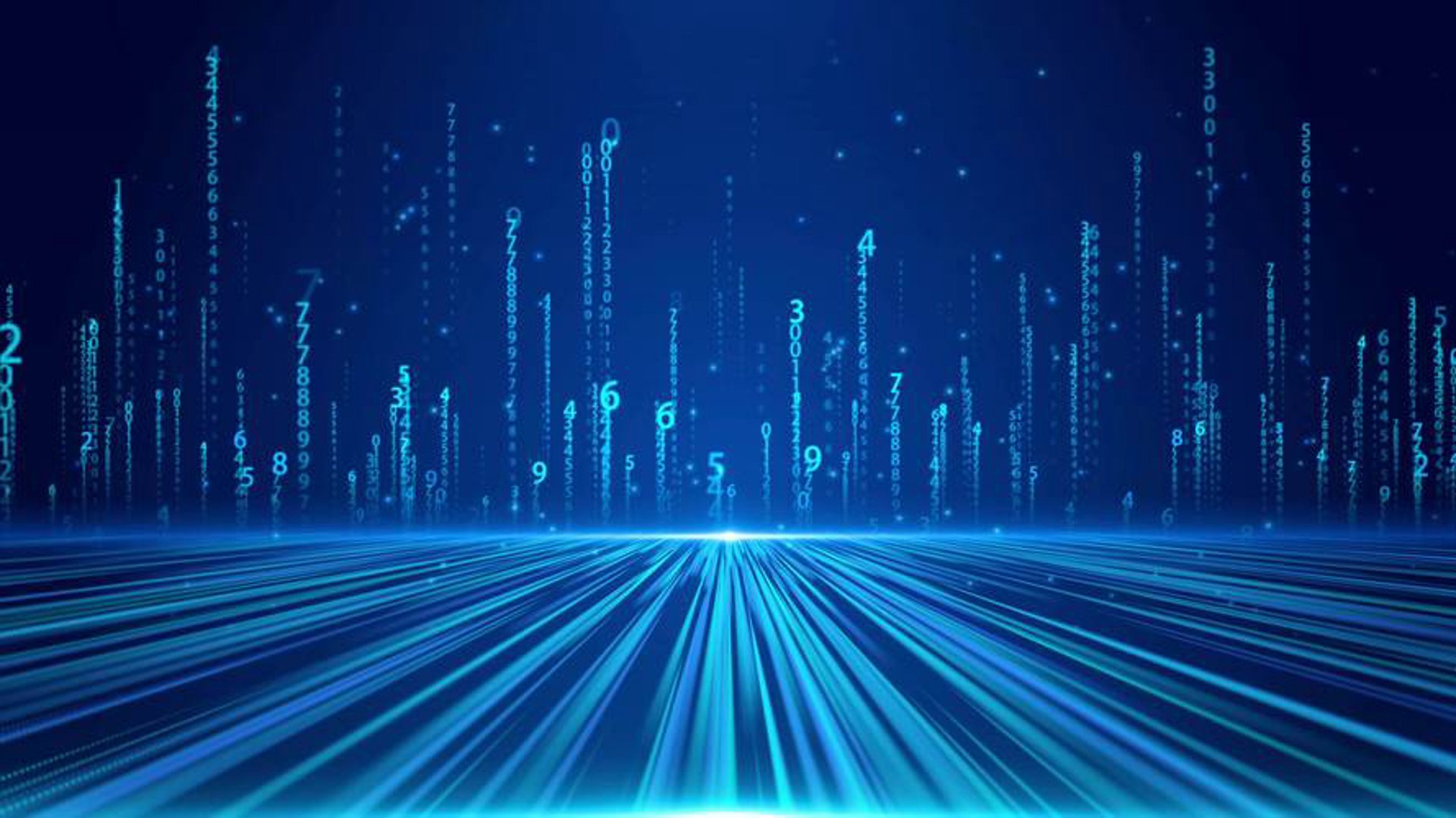 银科网络科技
